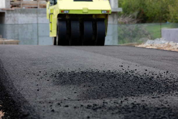 Professional Driveway Pavers in Hawkinsville, GA